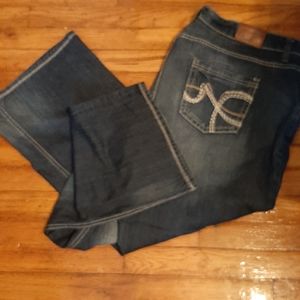 ON HOLD Maurice's Jean's womens size 24 short